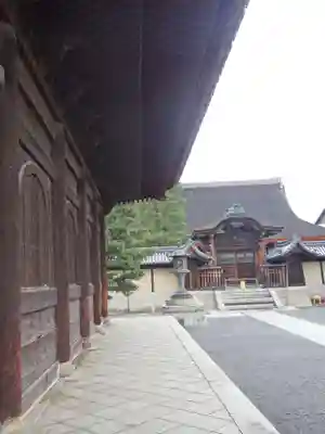 妙心寺（妙心禅寺）(京都府)