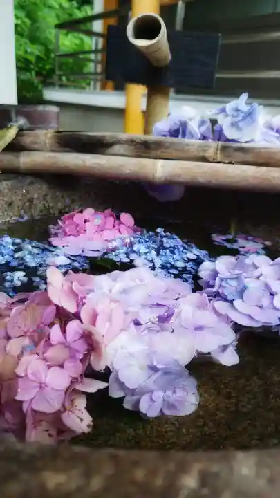 宝寿院の手水舎