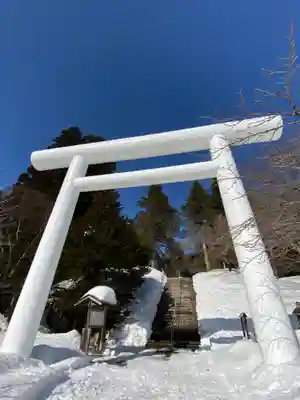 土津神社|こどもと出世の神さまの鳥居