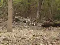 雛鶴神社(山梨県)