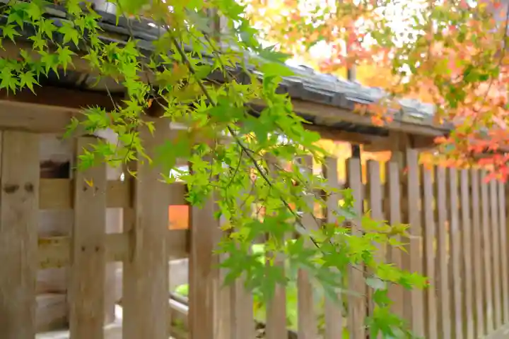 鍬山神社の自然