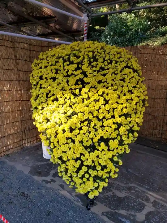 明治神宮の自然