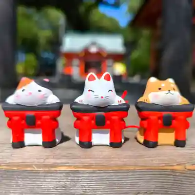 導きの神大牟田熊野神社のおみくじ