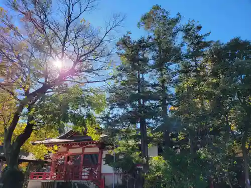 越谷香取神社の景色