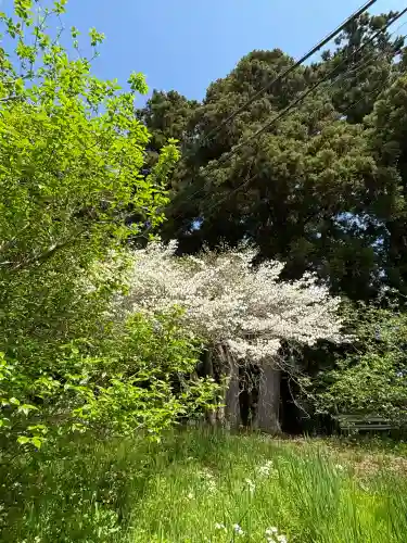 羽黒山神社(栃木県)