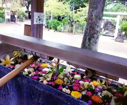 鳩森八幡神社の手水