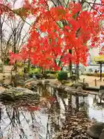 増上寺塔頭 三縁山 宝珠院の庭園