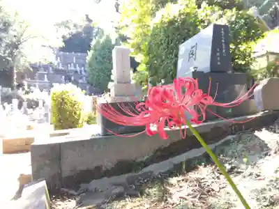 瑞源寺(福井県)