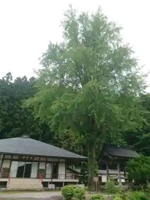 大聖寺の本殿・本堂