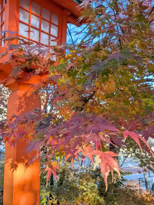 穴八幡宮(東京都)