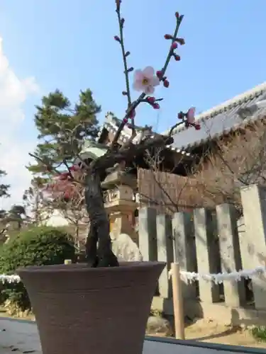 菅原天満宮（菅原神社）の自然