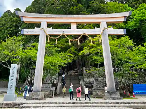 戸隠神社中社の鳥居