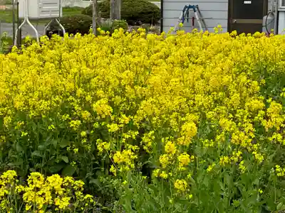戸塚山 泉養院 置賜三十三番札所の自然