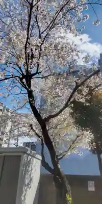 白幡八幡神社(東京都)