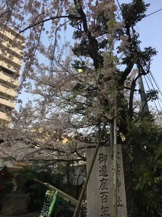 秋葉神社の自然