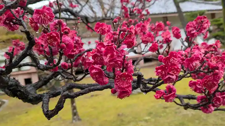 智積院(京都府)
