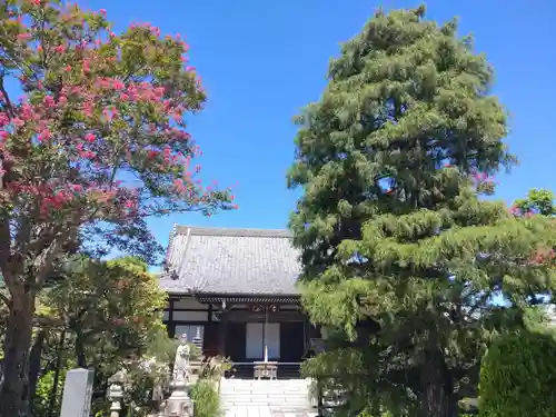 正延寺の本殿・本堂
