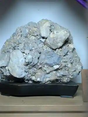 建部大社の{uncategorized: "未分類", other: "その他", undefined: "問題あり", building: "その他建物", grave: "お墓", sacred_gate: "鳥居", guardian: "狛犬", statue: "像", buddha: "仏像", history: "歴史", nature: "自然", garden: "庭園", animal: "動物", pagoda: "塔", temizu: "手水舎", mountain_gate: "山門・神門", sanctuary: "本殿・本堂", subordinate: "末社・摂社", art: "芸術", scenery: "景色", jizo: "地蔵", ema: "絵馬", goshuin: "御朱印", omikuji: "おみくじ", items: "授与品その他", amulet: "お守り", goshuincho: "御朱印帳", eats: "食事", festival: "お祭り", votive_dance: "神楽", shichigosan: "七五三参", wedding: "結婚式", experience: "体験その他", initially: "初詣", around: "周辺", anti_infection: "感染症対策"}