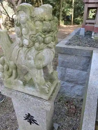 相撲神社の狛犬