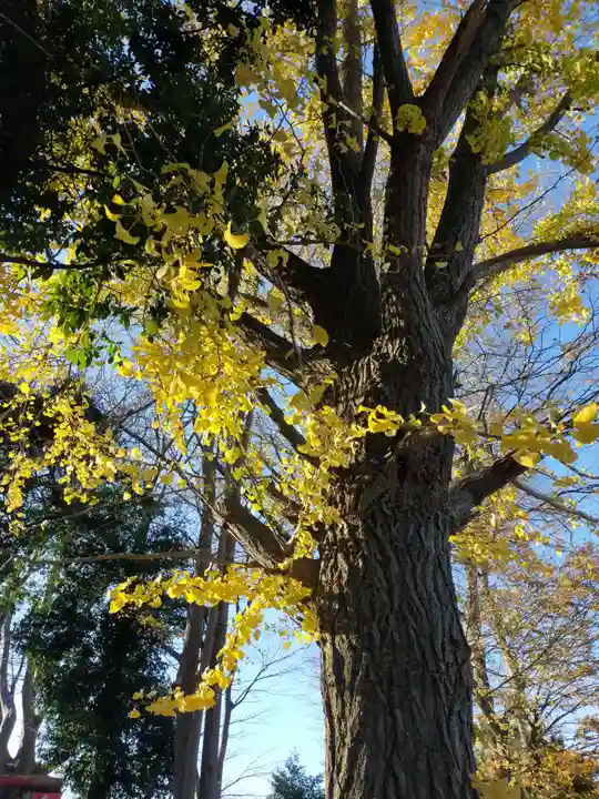 熊野福藏神社の自然