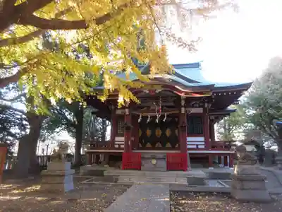 小金八坂神社の本殿・本堂