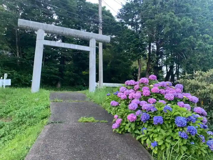 山神社(千葉県)