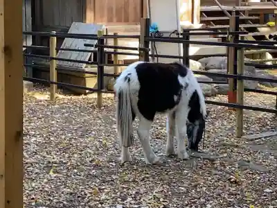 平塚八幡宮(神奈川県)
