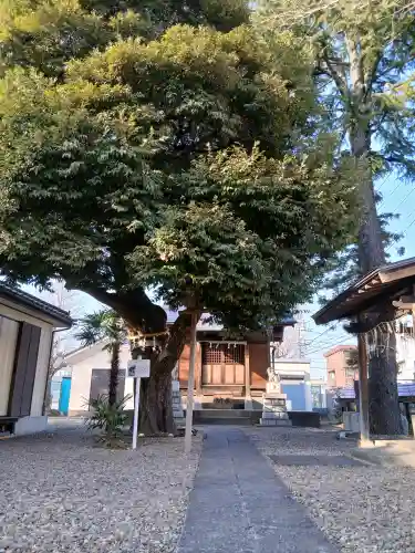 雷神社の{uncategorized: "未分類", other: "その他", undefined: "問題あり", building: "その他建物", grave: "お墓", sacred_gate: "鳥居", guardian: "狛犬", statue: "像", buddha: "仏像", history: "歴史", nature: "自然", garden: "庭園", animal: "動物", pagoda: "塔", temizu: "手水舎", mountain_gate: "山門・神門", sanctuary: "本殿・本堂", subordinate: "末社・摂社", art: "芸術", scenery: "景色", jizo: "地蔵", ema: "絵馬", goshuin: "御朱印", omikuji: "おみくじ", items: "授与品その他", amulet: "お守り", goshuincho: "御朱印帳", eats: "食事", festival: "お祭り", votive_dance: "神楽", shichigosan: "七五三参", wedding: "結婚式", experience: "体験その他", initially: "初詣", around: "周辺", anti_infection: "感染症対策"}