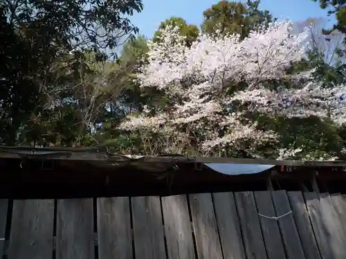 鷲宮神社の自然