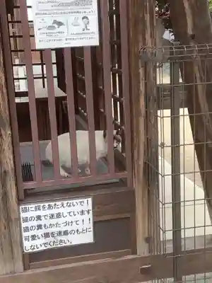 椿神明社の動物