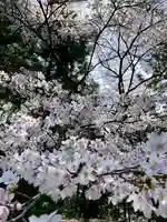 滑川神社 - 仕事と子どもの守り神(福島県)