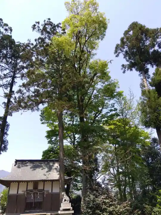 国生大野神社(福井県)