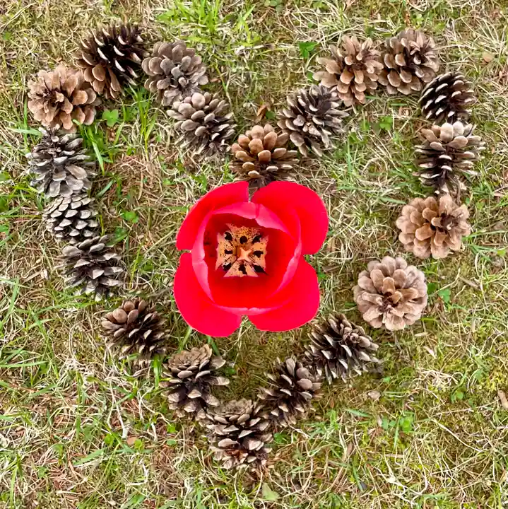 伊達神社のその他建物