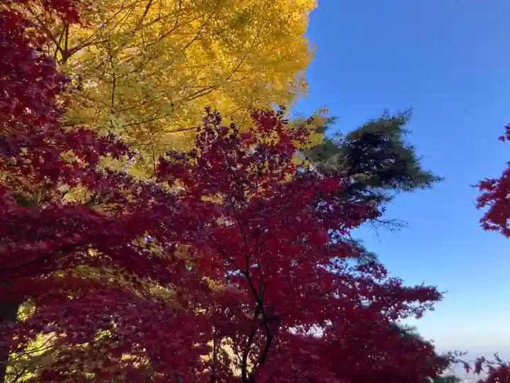 大山寺(神奈川県)