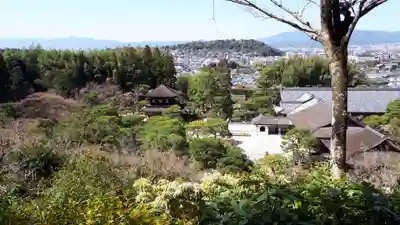 慈照寺（慈照禅寺・銀閣寺）(京都府)
