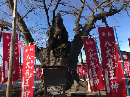 秩父今宮神社の自然