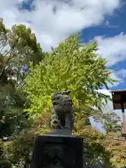 八坂神社(祇園さん)の狛犬