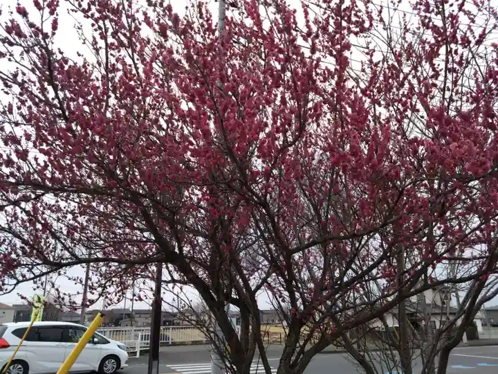 大前神社(栃木県)