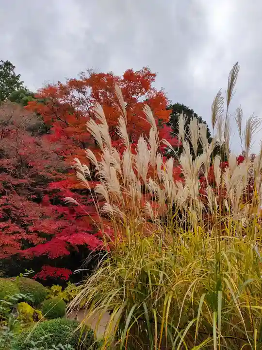 詩仙堂(丈山寺)の庭園