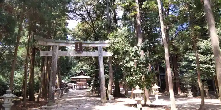 比良天満宮・樹下神社(滋賀県)