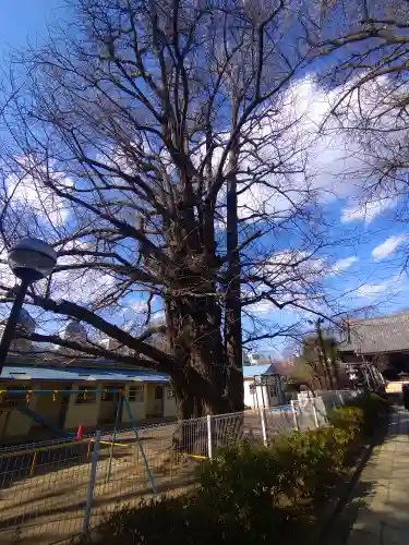 森巌寺(東京都)