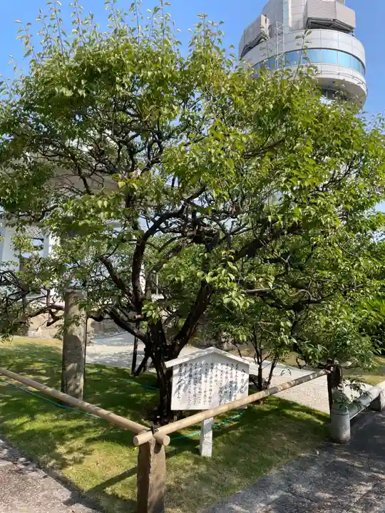 月照寺(兵庫県)