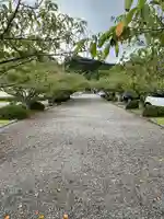 安房神社(千葉県)