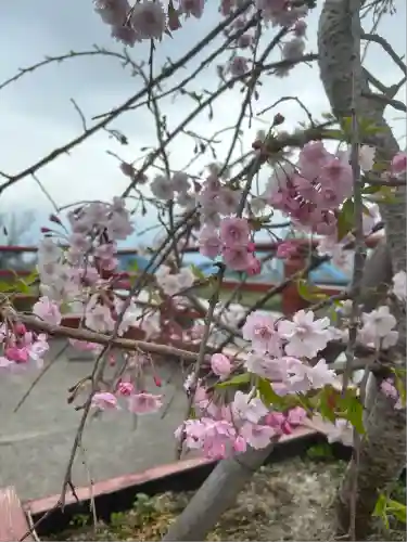 多摩川浅間神社(東京都)