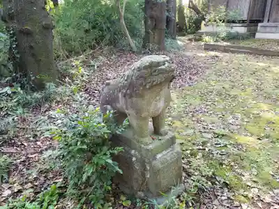 頼政神社の狛犬