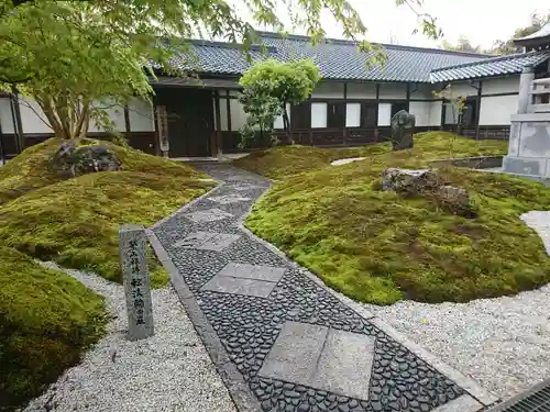 御誕生寺（猫寺）の庭園