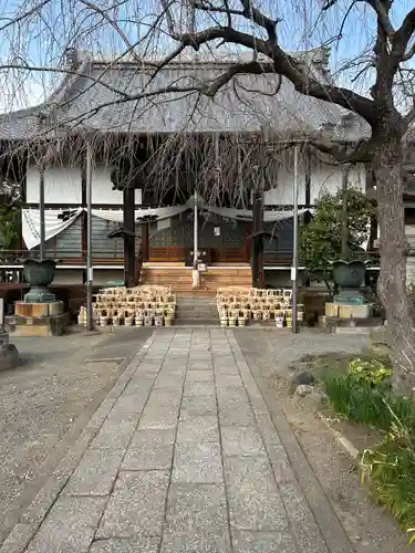 大蔵院(群馬県)