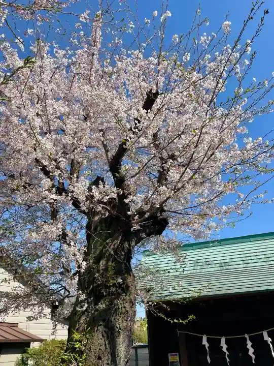 御嶽神社の{uncategorized: "未分類", other: "その他", undefined: "問題あり", building: "その他建物", grave: "お墓", sacred_gate: "鳥居", guardian: "狛犬", statue: "像", buddha: "仏像", history: "歴史", nature: "自然", garden: "庭園", animal: "動物", pagoda: "塔", temizu: "手水舎", mountain_gate: "山門・神門", sanctuary: "本殿・本堂", subordinate: "末社・摂社", art: "芸術", scenery: "景色", jizo: "地蔵", ema: "絵馬", goshuin: "御朱印", omikuji: "おみくじ", items: "授与品その他", amulet: "お守り", goshuincho: "御朱印帳", eats: "食事", festival: "お祭り", votive_dance: "神楽", shichigosan: "七五三参", wedding: "結婚式", experience: "体験その他", initially: "初詣", around: "周辺", anti_infection: "感染症対策"}