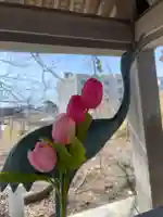 釧路一之宮 厳島神社(北海道)