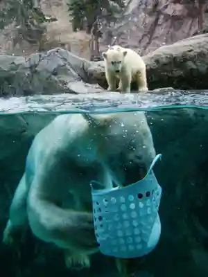 旭川神社の周辺